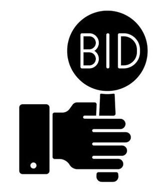 Bid Management and Budget Optimization for Excessive ROI and Conversions